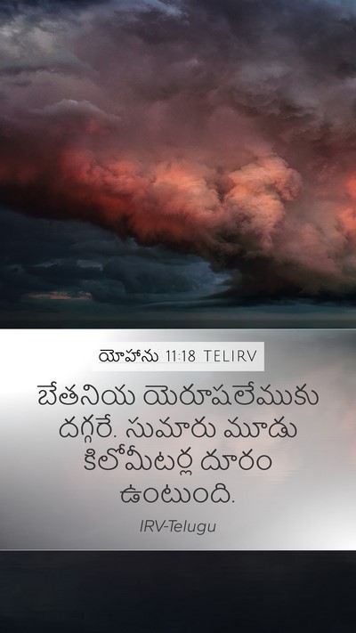 యోహాను 11:18 TELIRV Mobile Phone Wallpaper - బేతనియ - Mobile Bible Verse Wallpaper