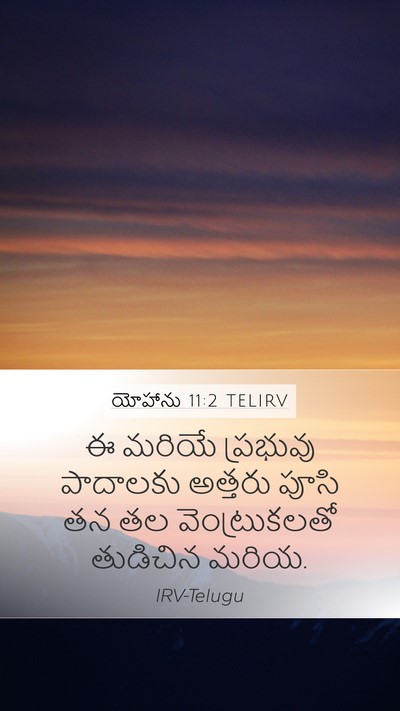 యోహాను 11:2 TELIRV Bible Verse Image