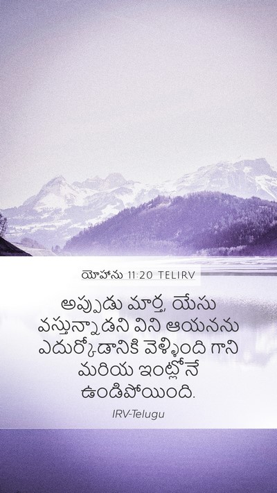 యోహాను 11:20 TELIRV Bible Verse Image