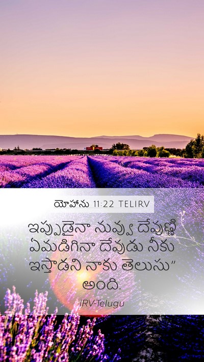 యోహాను 11:22 TELIRV Bible Verse Image