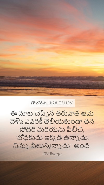 యోహాను 11:28 TELIRV Bible Verse Image