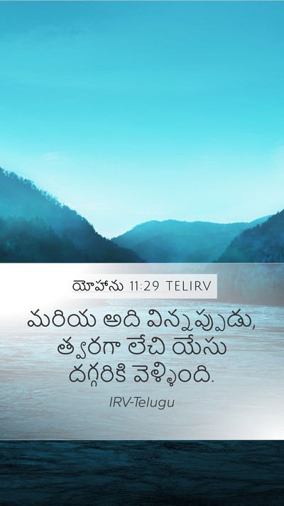 యోహాను 11:29 TELIRV Mobile Phone Wallpaper - మరియ అది - Mobile Bible Verse Wallpaper