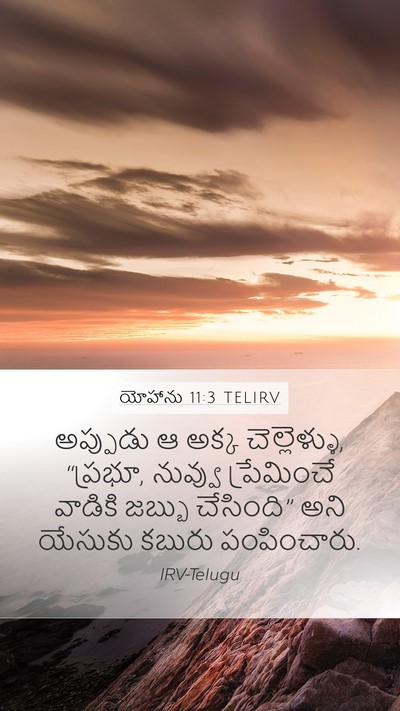 యోహాను 11:3 TELIRV Bible Verse Image