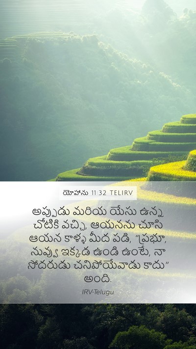 యోహాను 11:32 TELIRV Bible Verse Image
