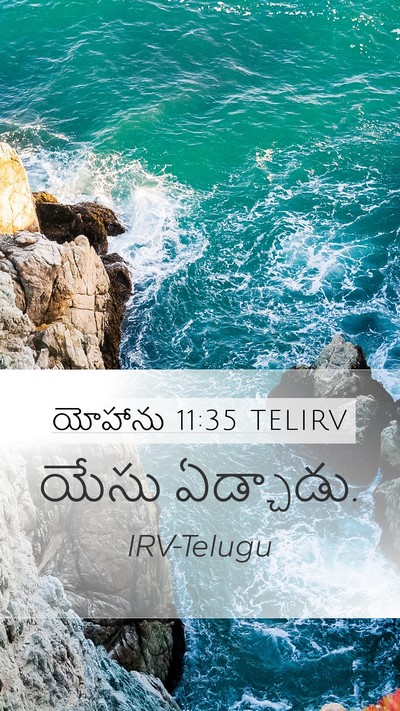 యోహాను 11:35 TELIRV Bible Verse Image