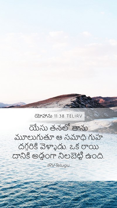 యోహాను 11:38 TELIRV Bible Verse Image