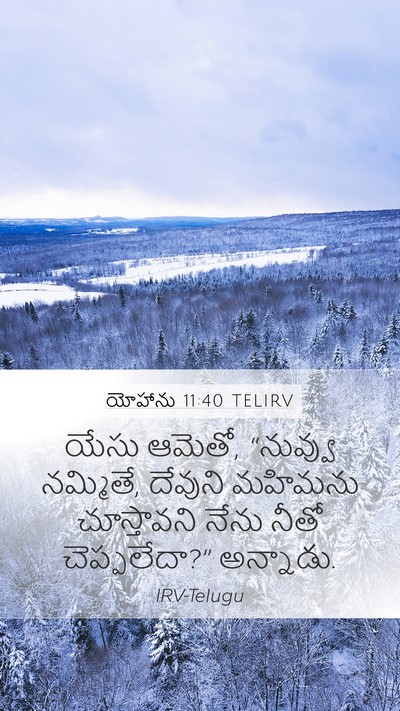 యోహాను 11:40 TELIRV Bible Verse Image