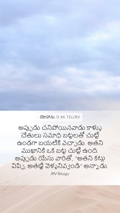 యోహాను 11:44 TELIRV Bible Verse Image