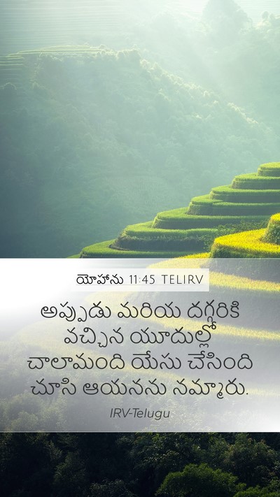 యోహాను 11:45 TELIRV Bible Verse Image