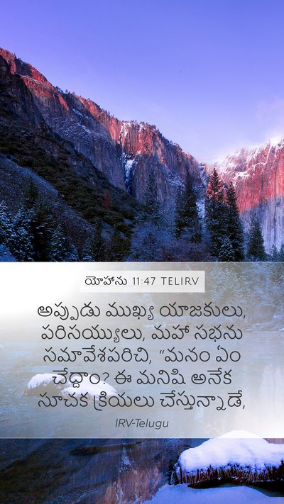 యోహాను 11:47 TELIRV Bible Verse Image