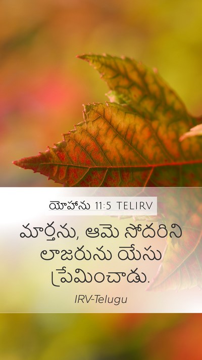 యోహాను 11:5 TELIRV Bible Verse Image