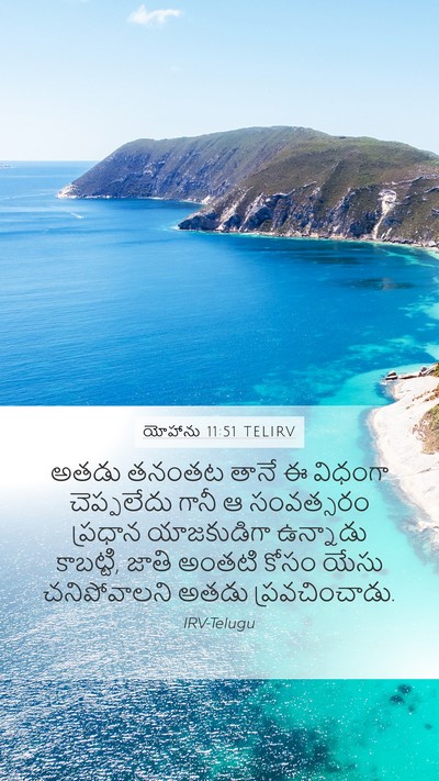 యోహాను 11:51 TELIRV Bible Verse Image