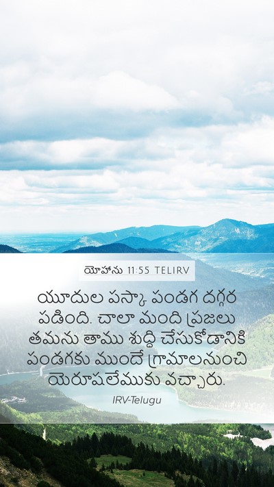యోహాను 11:55 TELIRV Bible Verse Image
