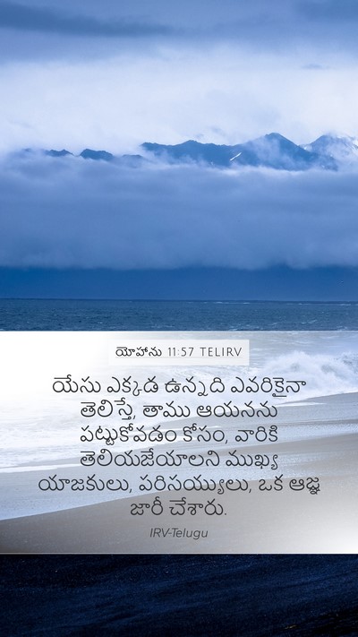 యోహాను 11:57 TELIRV Bible Verse Image