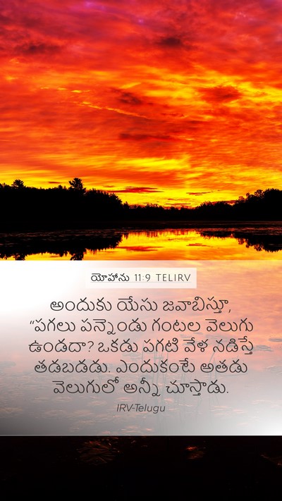 యోహాను 11:9 TELIRV Bible Verse Image