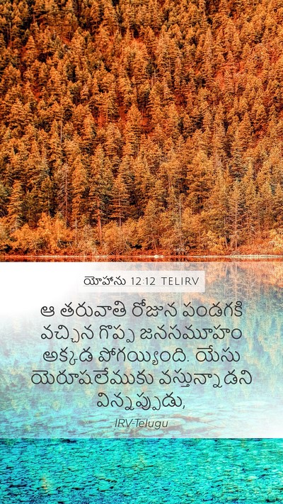 యోహాను 12:12 TELIRV Bible Verse Image