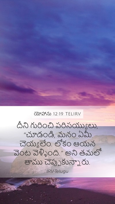 యోహాను 12:19 TELIRV Bible Verse Image