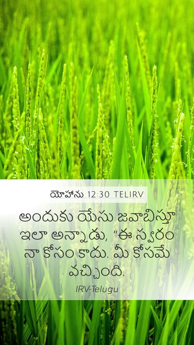 యోహాను 12:30 TELIRV Bible Verse Image