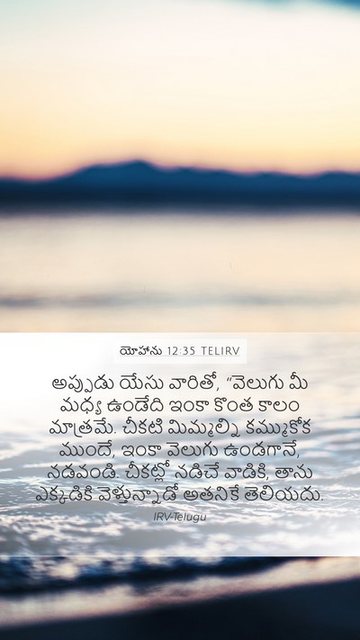 యోహాను 12:35 TELIRV Bible Verse Image