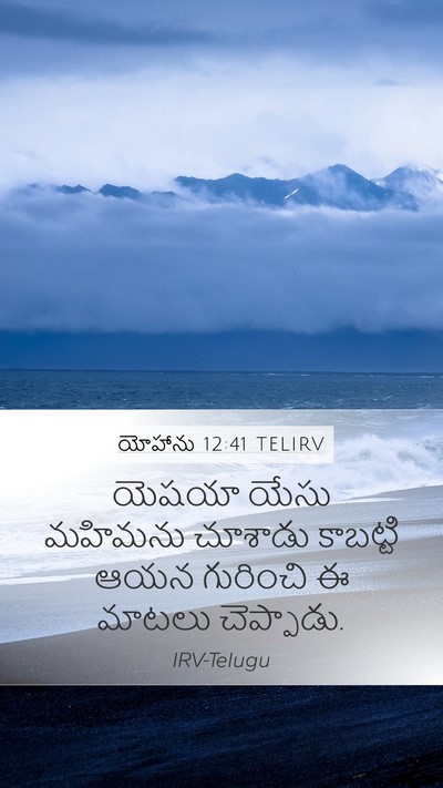 యోహాను 12:41 TELIRV Bible Verse Image