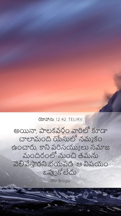 యోహాను 12:42 TELIRV Bible Verse Image