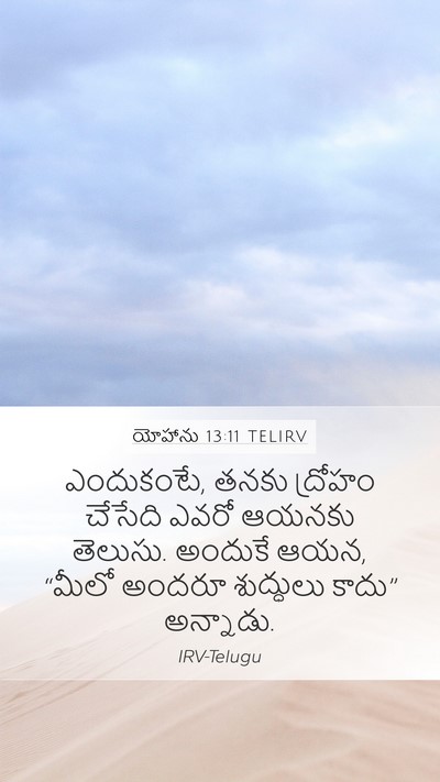 యోహాను 13:11 TELIRV Bible Verse Image