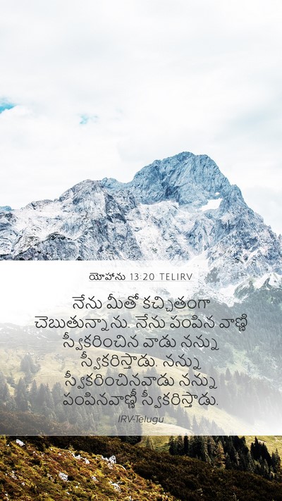 యోహాను 13:20 TELIRV Bible Verse Image
