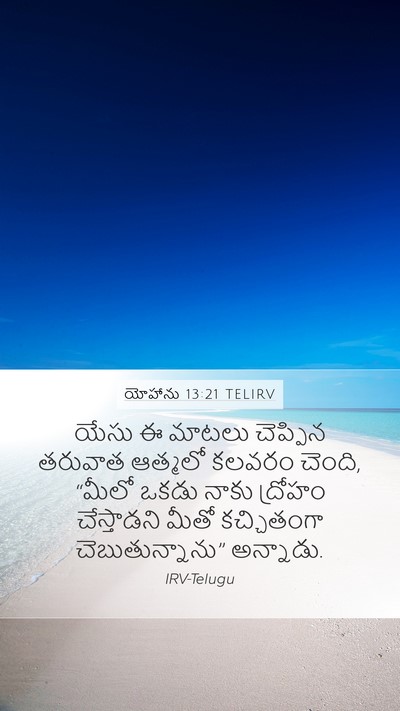 యోహాను 13:21 TELIRV Bible Verse Image