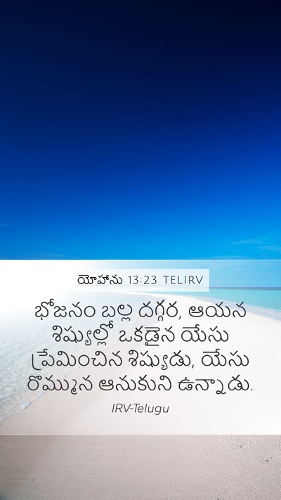 యోహాను 13:23 TELIRV Bible Verse Image