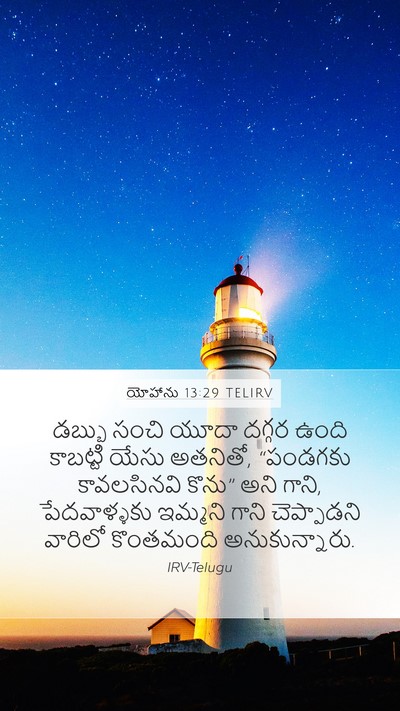 యోహాను 13:29 TELIRV Bible Verse Image