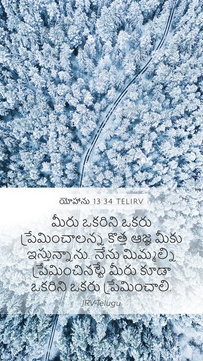 యోహాను 13:34 TELIRV Bible Verse Image