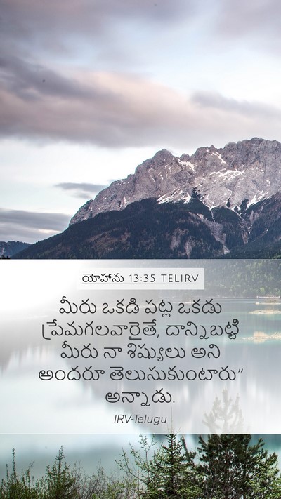 యోహాను 13:35 TELIRV Bible Verse Image