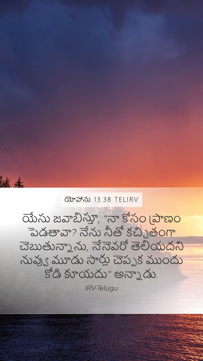 యోహాను 13:38 TELIRV Bible Verse Image