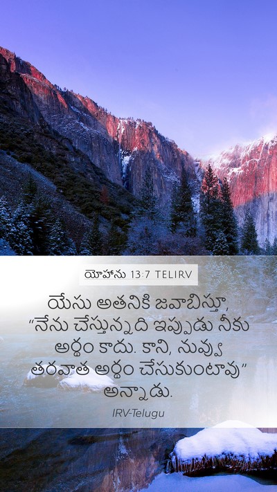 యోహాను 13:7 TELIRV Bible Verse Image