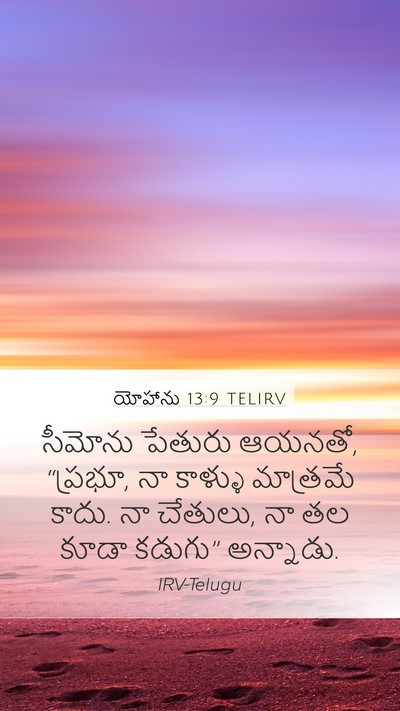 యోహాను 13:9 TELIRV Mobile Phone Wallpaper - సీమోను పేతురు - Mobile Bible Verse Wallpaper