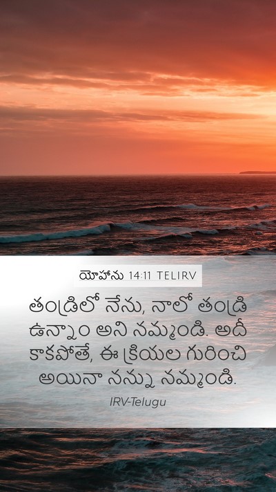 యోహాను 14:11 TELIRV Bible Verse Image