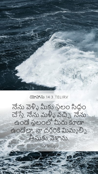 యోహాను 14:3 TELIRV Bible Verse Image