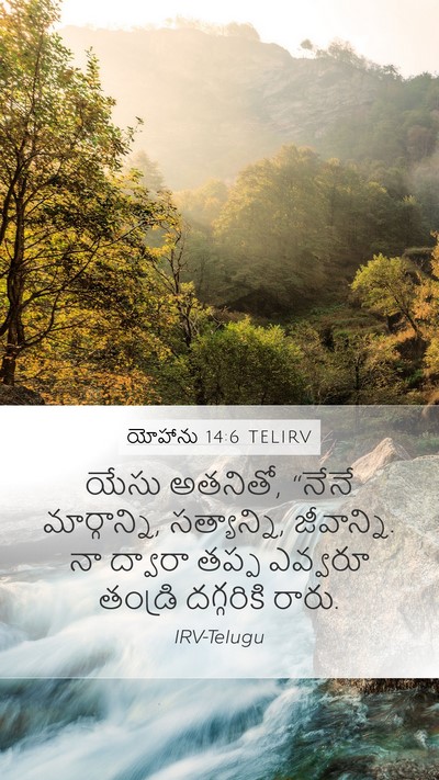 యోహాను 14:6 TELIRV Bible Verse Image