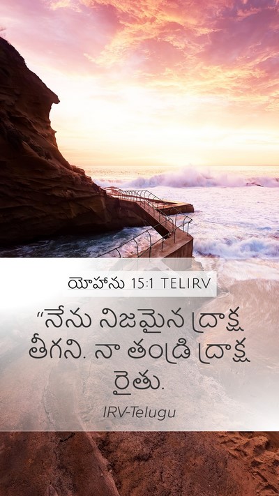 యోహాను 15:1 TELIRV Bible Verse Image