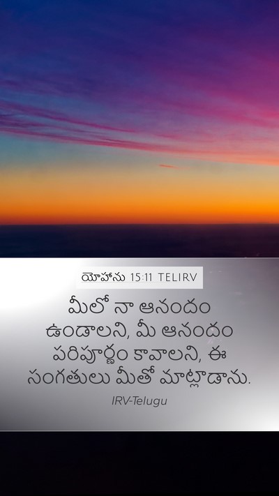 యోహాను 15:11 TELIRV Bible Verse Image