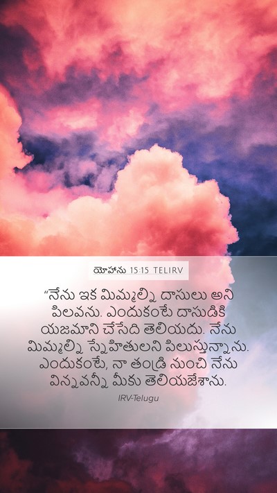 యోహాను 15:15 TELIRV Bible Verse Image