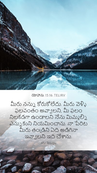 యోహాను 15:16 TELIRV Bible Verse Image