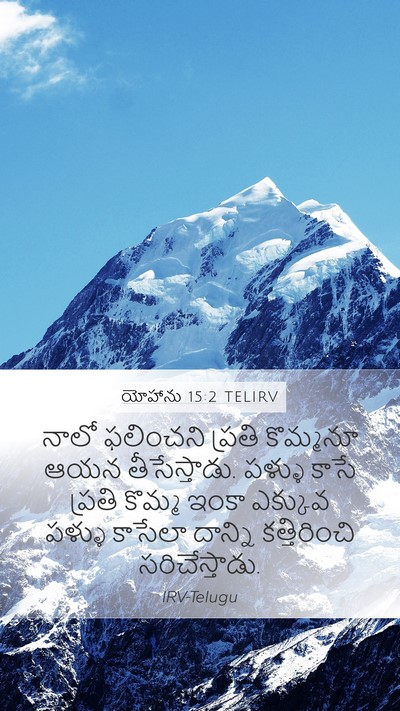 యోహాను 15:2 TELIRV Bible Verse Image
