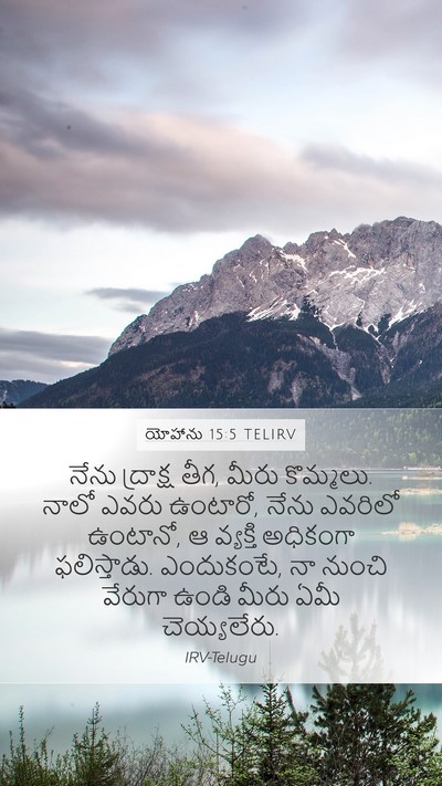 యోహాను 15:5 TELIRV Bible Verse Image