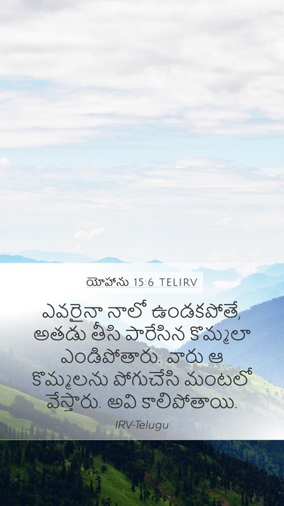 యోహాను 15:6 TELIRV Bible Verse Image