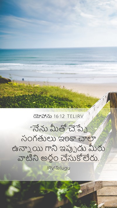 యోహాను 16:12 TELIRV Bible Verse Image