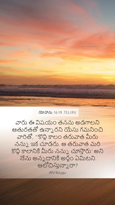 యోహాను 16:19 TELIRV Bible Verse Image