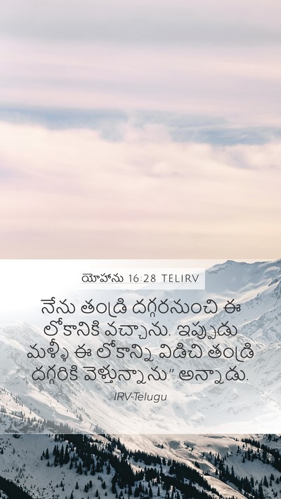 యోహాను 16:28 TELIRV Bible Verse Image