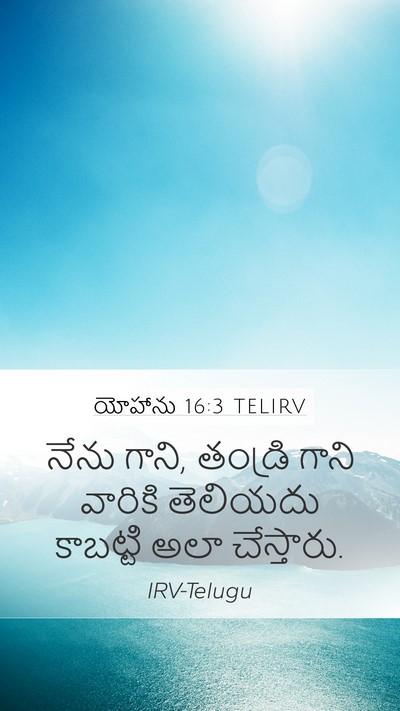 యోహాను 16:3 TELIRV Bible Verse Image