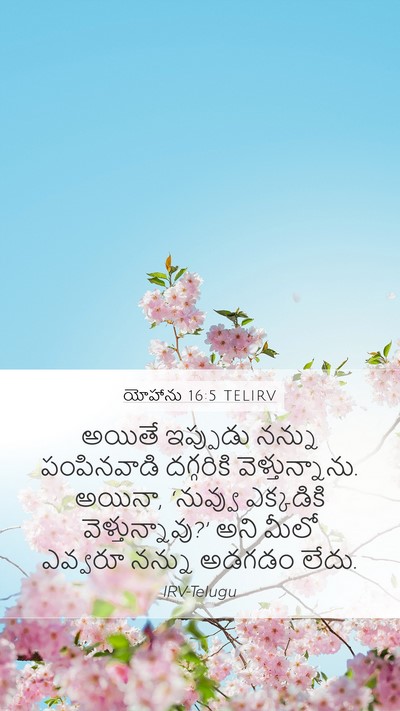 యోహాను 16:5 TELIRV Bible Verse Image